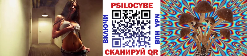сколько стоит  blacksprut ONION  Псилоцибиновые грибы Cubensis  Владикавказ 